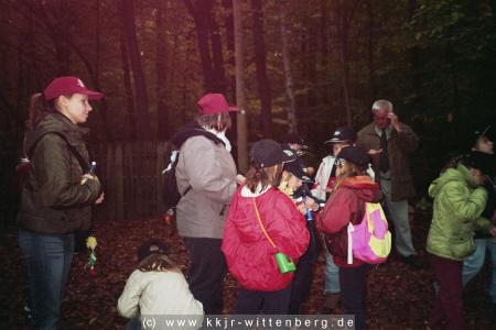 bild6