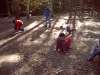 bild7