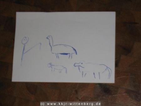 bild7