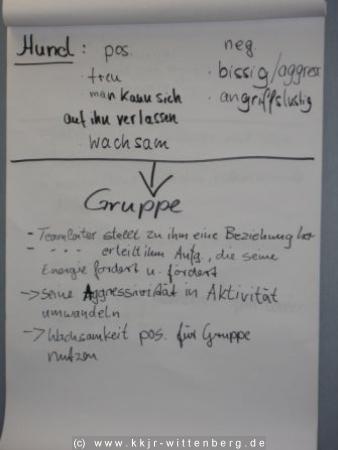 bild6
