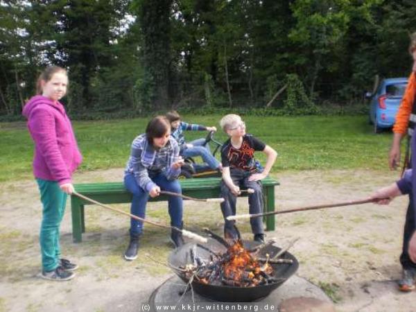 bild7