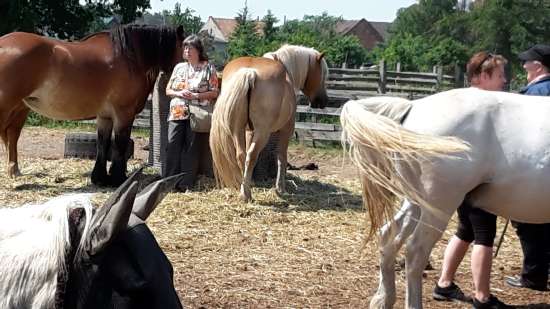 bild5