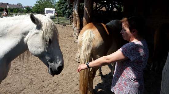 bild7