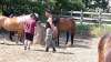 bild6
