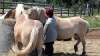 bild8