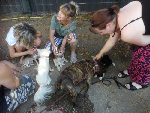 bild2