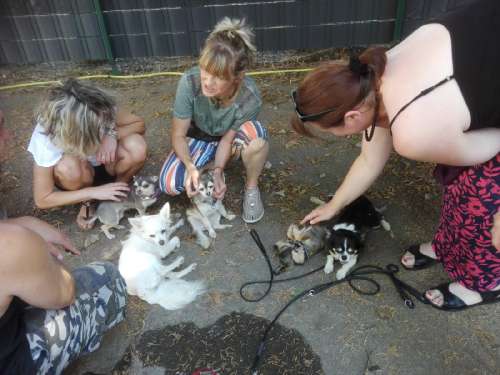 bild4