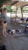 bild8