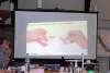 bild6